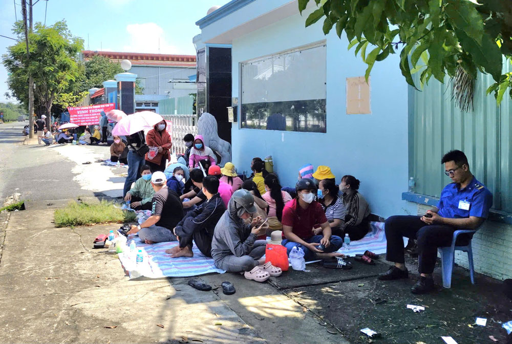 Bài học không thể xem nhẹ - Ảnh 1.