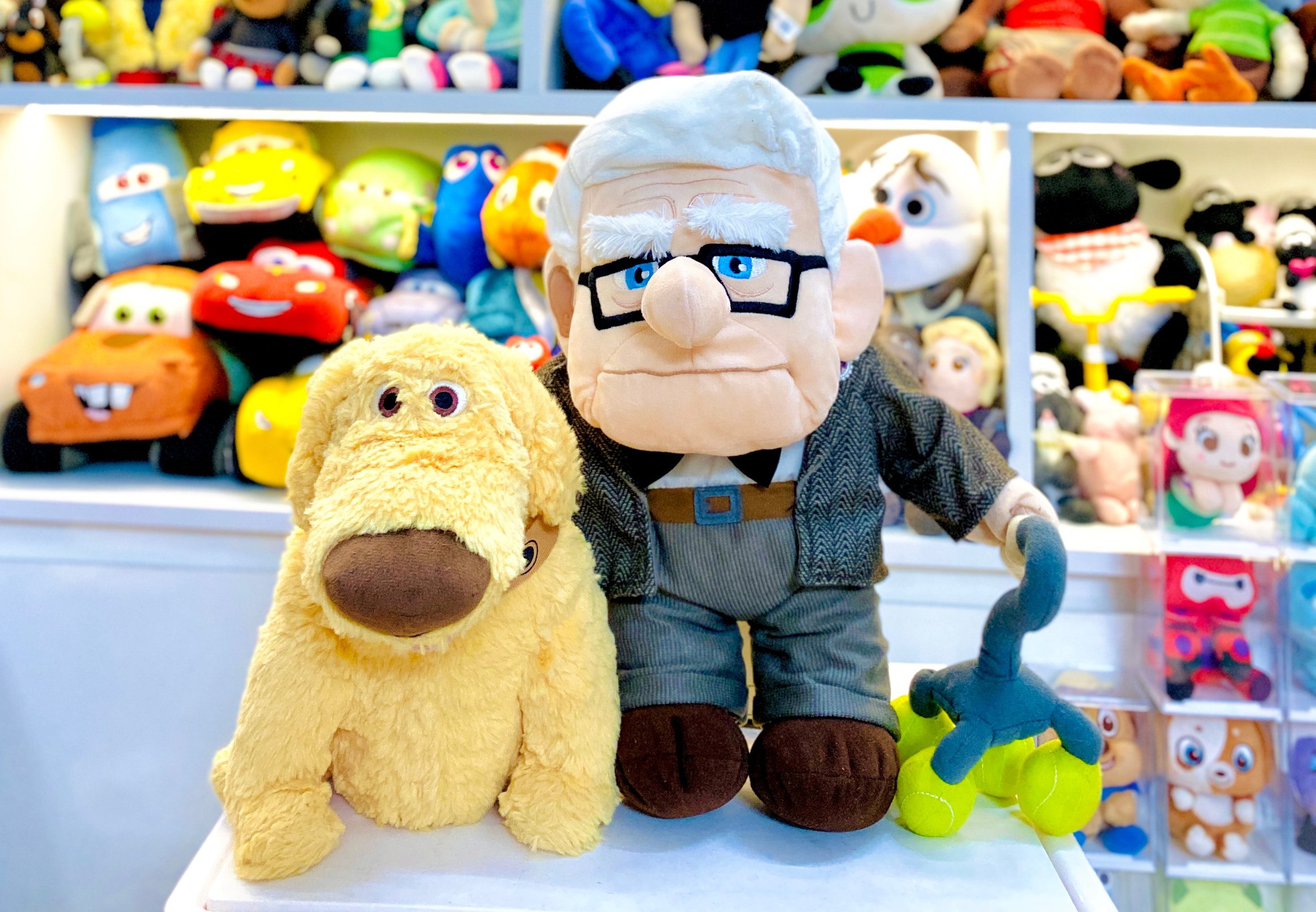 Bất ngờ hành trình sưu tầm thú bông giới hạn của nữ 9X Hà Nội 1 sưu tầm thú bông - Ảnh 1.