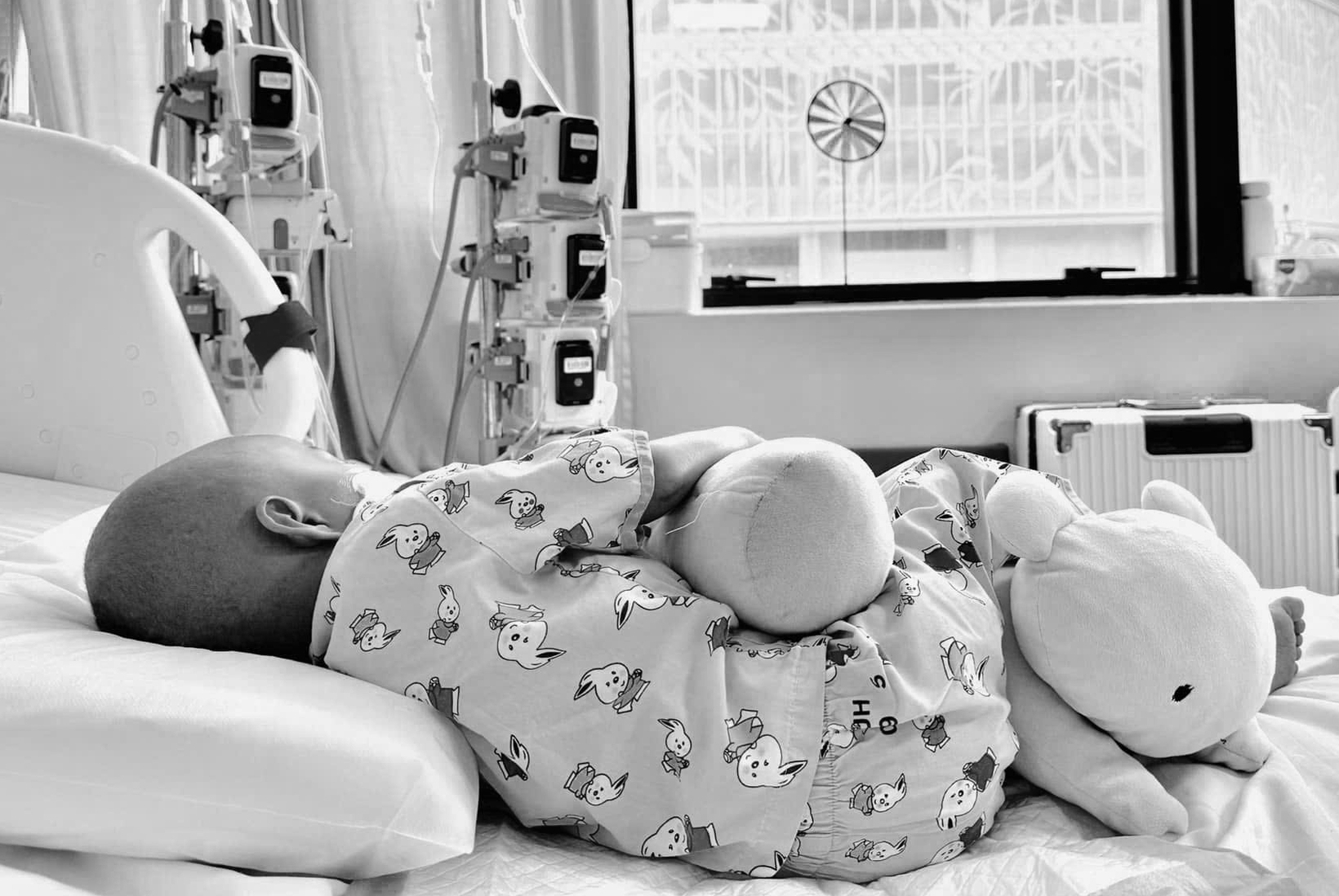 'Bé Bắp' đã ra đi trong vòng tay yêu thương - Ảnh 1.