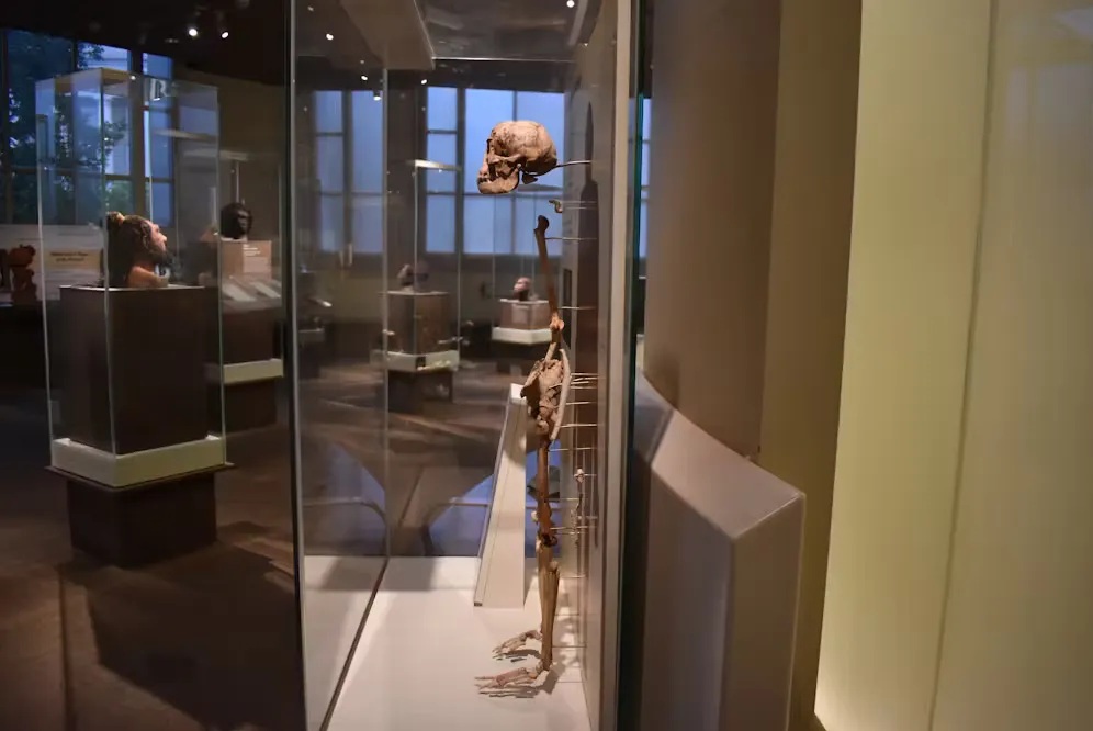 Bí ẩn loài người Bí ẩn loài người