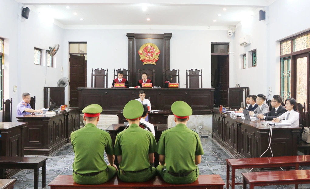 Vụ gà lôi trắng: Bị cáo Thái Khắc Thành được thả tự do ngay tại tòa - Ảnh 1.