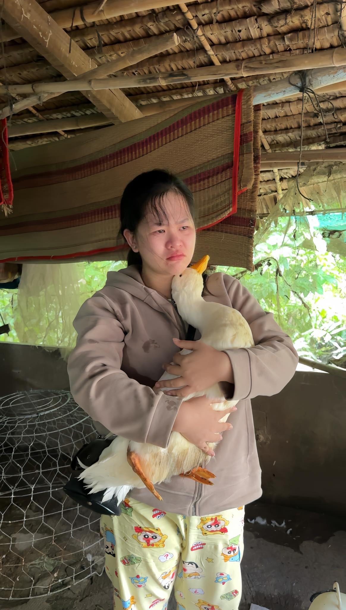 5504161968516319305549045992919464225825214n 5504161968516319305549045992919464225825214n