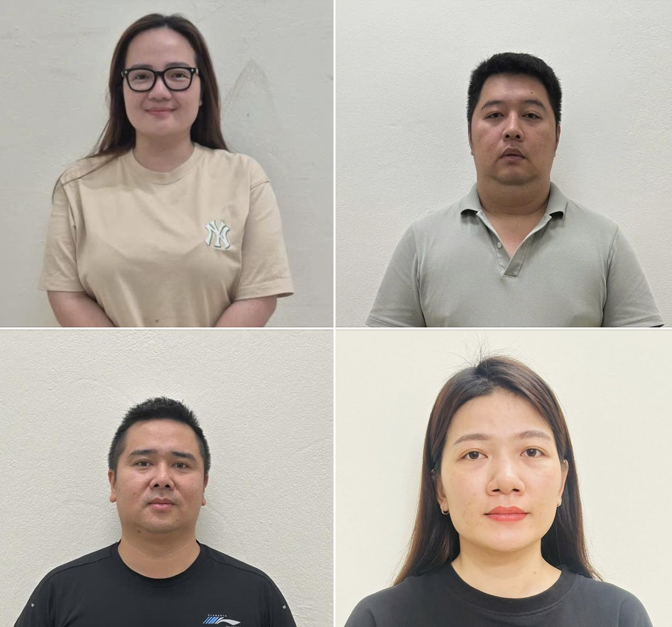 Bộ Công an thông tin về vụ nữ doanh nhân Hoàng Hường bị bắt - Ảnh 1.