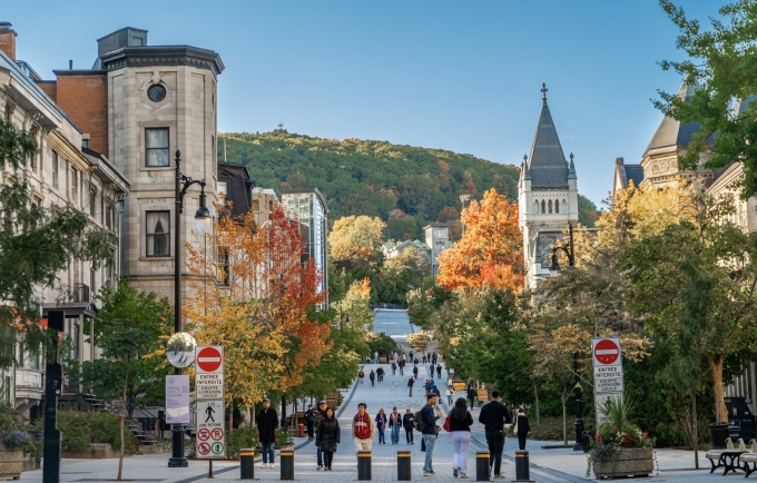 Khuôn viên Đại học McGill, Canada. Ảnh: McGill University Fanpage