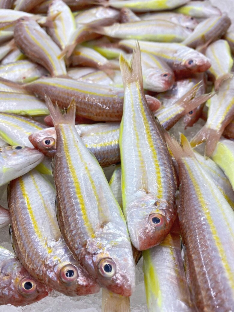 Cá nghe tên đã thấy amp;#34;phènamp;#34; tưởng không ai ăn lại là đặc sản ở Quảng Ninh, giá trị dinh dưỡng cao giá bán 250.000 /1 kg - 1