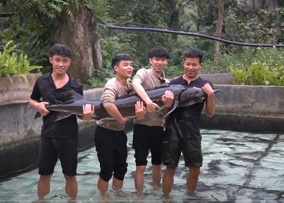 Cá tầm Siberi 50 kg nuôi ở Lai Châu góp mặt trong Tuần lễ nông sản Việt - Ảnh 1.