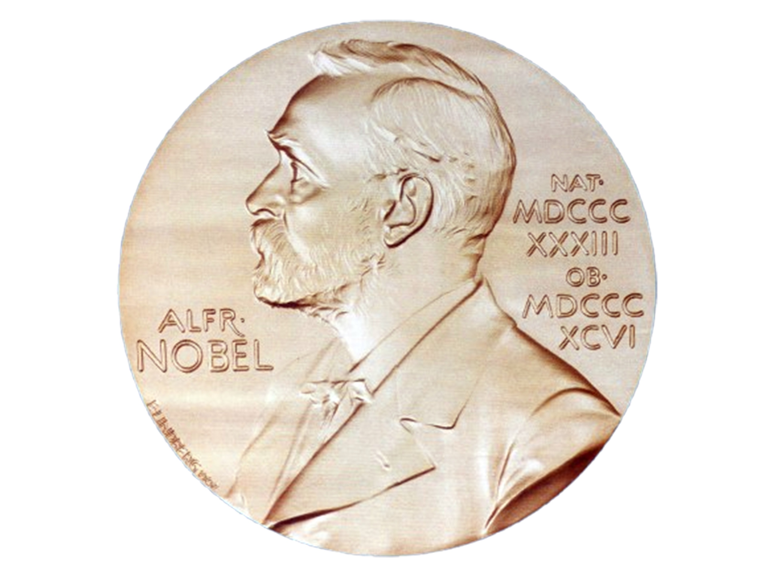 Nobel - Ảnh 1.