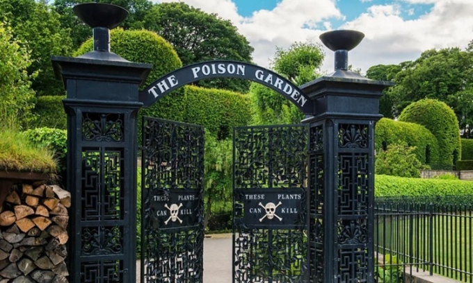Vườn độc dược nằm sau hàng rào sắt trang trí hình đầu lâu cảnh báo. Ảnh: Design Pics Inc