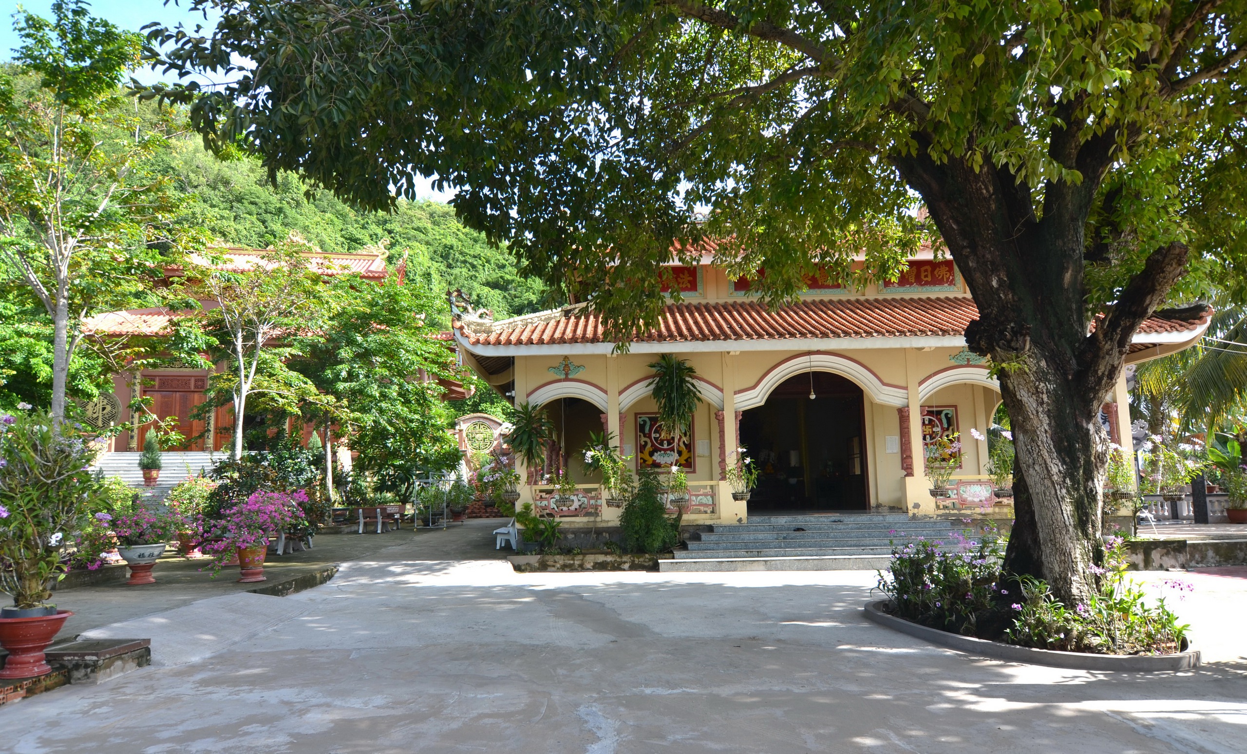 Thất Sơn huyền bí: Cây đàn lạ ở chùa Năm Căn- Ảnh 1.