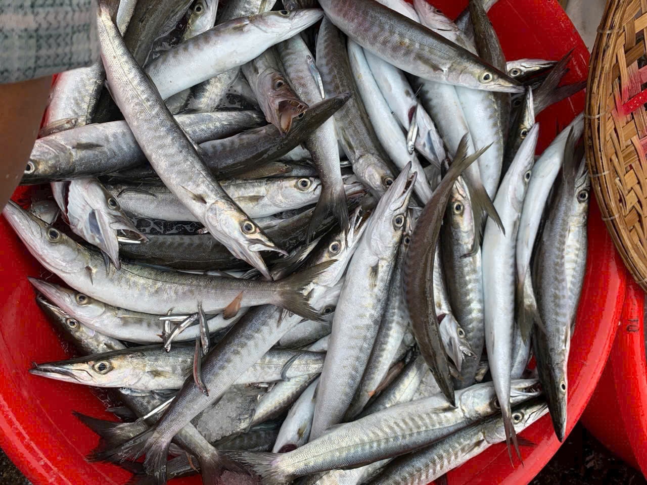 Chả cá Vĩnh Lương – Nha Trang thơm ngon khó cưỡng- Ảnh 1.