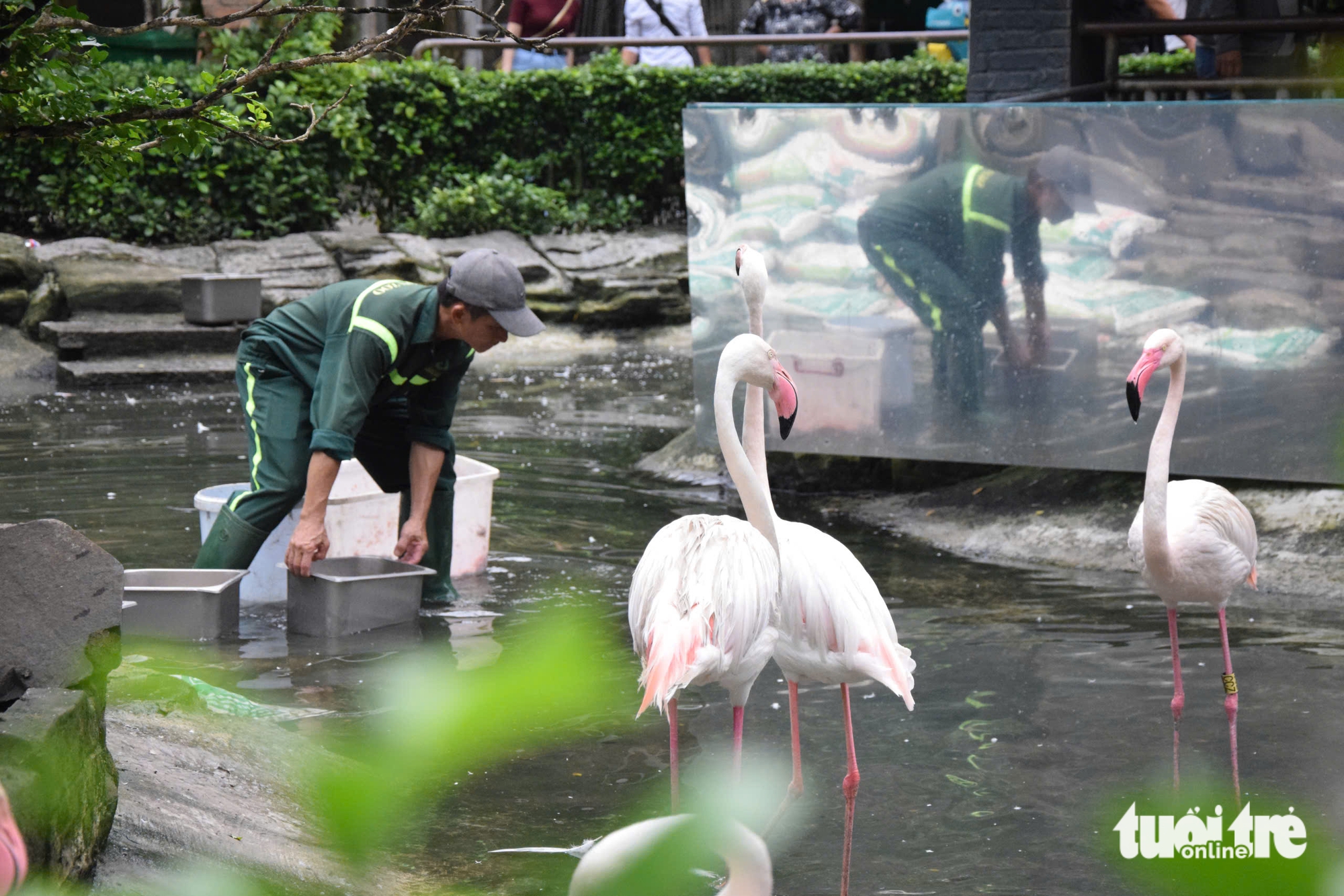 Thảo cầm viên - Ảnh 1.