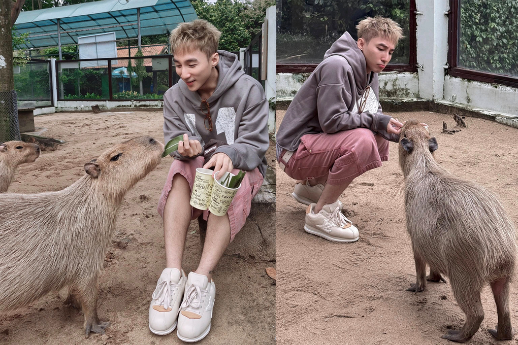 Chân dung ngôi sao Thảo Cầm Viên khiến Sơn Tùng M-TP tìm đến chụp ảnh - 1