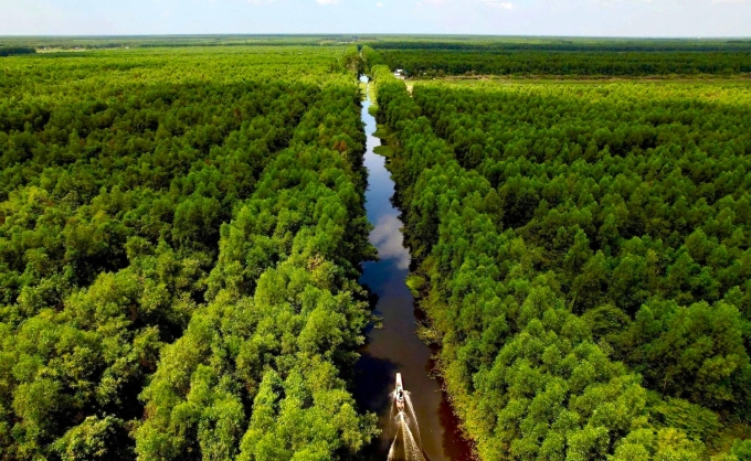 Khu rừng tràm ở ấp 16, xã Nguyễn Phích của Huỳnh Duy Thái  nhìn từ trên cao. Ảnh: An Minh