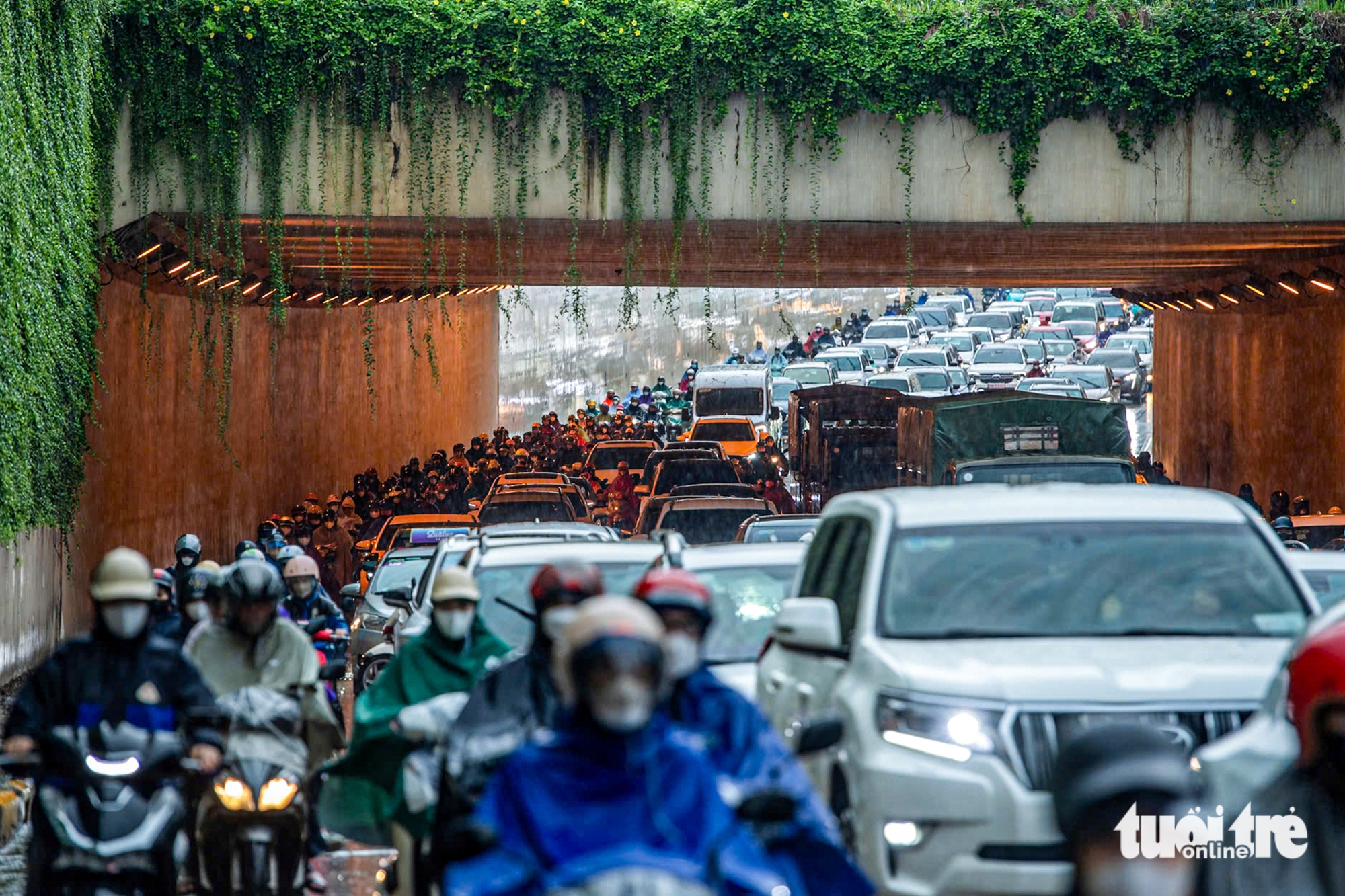 trời mưa - Ảnh 1.