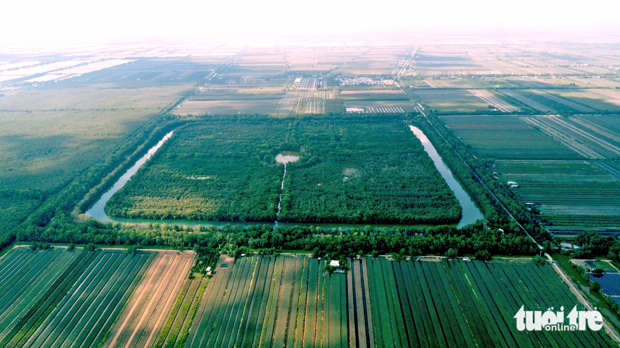 Chi gần 300 tỉ đồng mở rộng Khu bảo tồn sinh thái Đồng Tháp Mười - Ảnh 1.