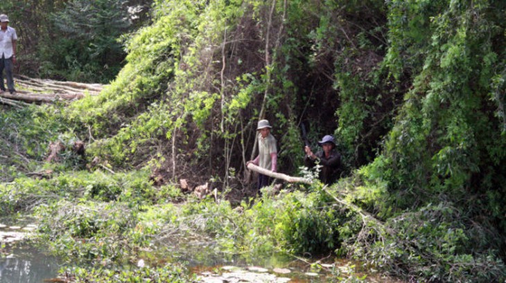 Chi gần 300 tỉ đồng mở rộng Khu bảo tồn sinh thái Đồng Tháp Mười - Ảnh 5.