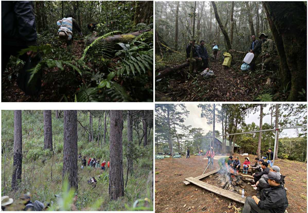 Chinh phục nóc nhà Nam Tây Nguyên với báu vật cây pơ mu 1.300 năm tuổi - 2