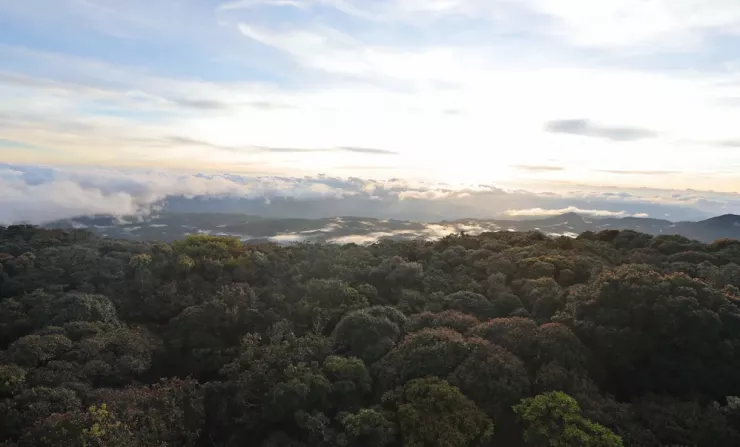 Từ đỉnh Bidoup, du khách có thể quan sát những dãy núi trập trùng. Những năm gần đây, việc chinh phục đỉnh Bidoup ngày càng thu hút những du khách thích trải nghiệm, khám phá.