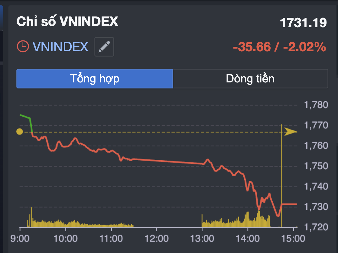 Chứng khoán tuần tới 19 - 10: VN - Index lao dốc và nỗi lo của nhà đầu tư - Ảnh 2.
