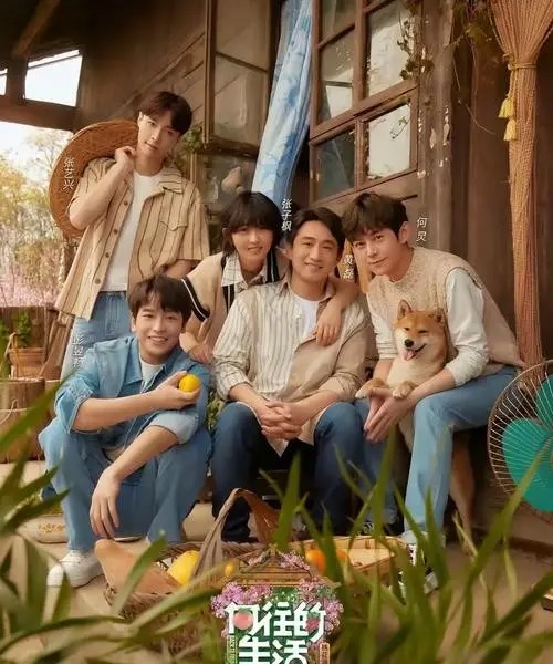 Chương trình truyền hình thực tế quốc dân chạm đáy rating: Khi show 