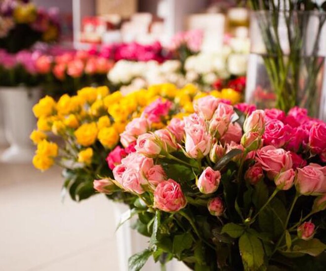 Có 3 thứ người khôn ngoan nhất định không mang khi đến thăm nhà người khác 1 Có 3 thứ người khôn ngoan nhất định không mang khi đến thăm nhà người khác - 1