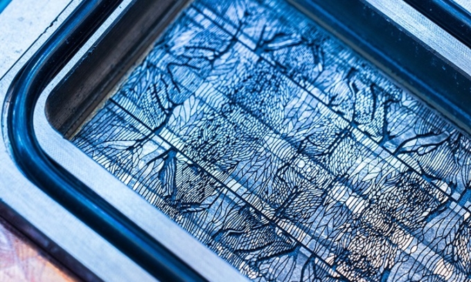 Mạng lưới kênh dẫn khắc trên bề mặt chip silicon cho phép chất làm mát loại bỏ nhiệt hiệu quả hơn hẳn. Ảnh: Microsoft