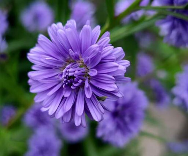 Cuộc đời này, người thân thiết nhất với ta chỉ có một - 1