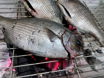 Đà Lạt vào mùa hồng chín – góc nào cũng lên hình đẹp mê như Tăng Thanh Hà 7 Đảo Lý Sơn có loài cá thoắt ẩn thoắt hiện mang cái tên nghe rợn tóc gáy cực khó săn, có tiền chưa chắc mua được