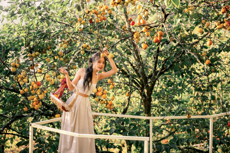 Đà Lạt vào mùa hồng chín – góc nào cũng lên hình đẹp mê như Tăng Thanh Hà 1 Đà Lạt vào mùa hồng chín – góc nào cũng lên hình đẹp mê như Tăng Thanh Hà - 1