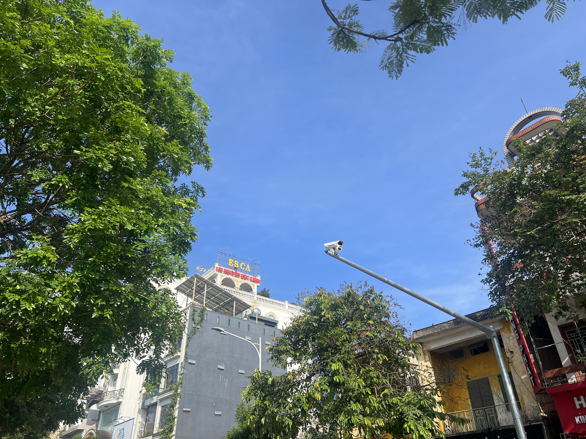 Đi sau thế giới, Việt Nam 