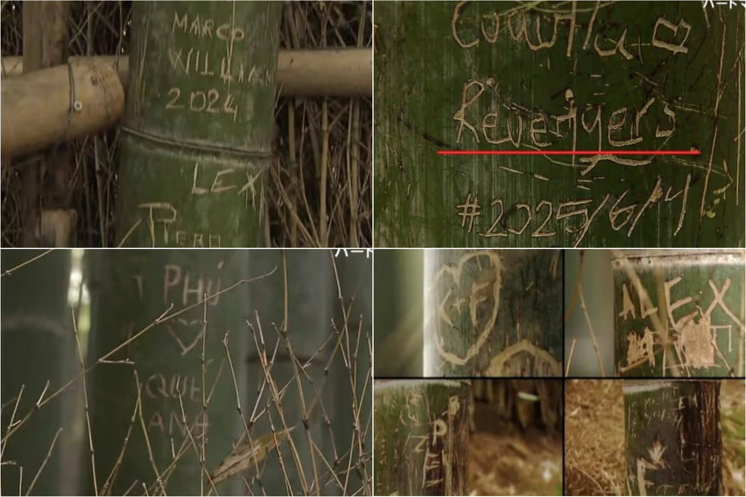 Dân mạng bức xúc trước dòng chữ tiếng Việt khắc trong rừng tre Nhật Bản  - Ảnh 1.