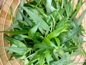 Loại cỏ dại xưa chỉ cho lợn ăn nay lên đời thành đặc sản siêu bổ dưỡng, giá đến 70.000đ/kg vẫn nườm nượp người mua