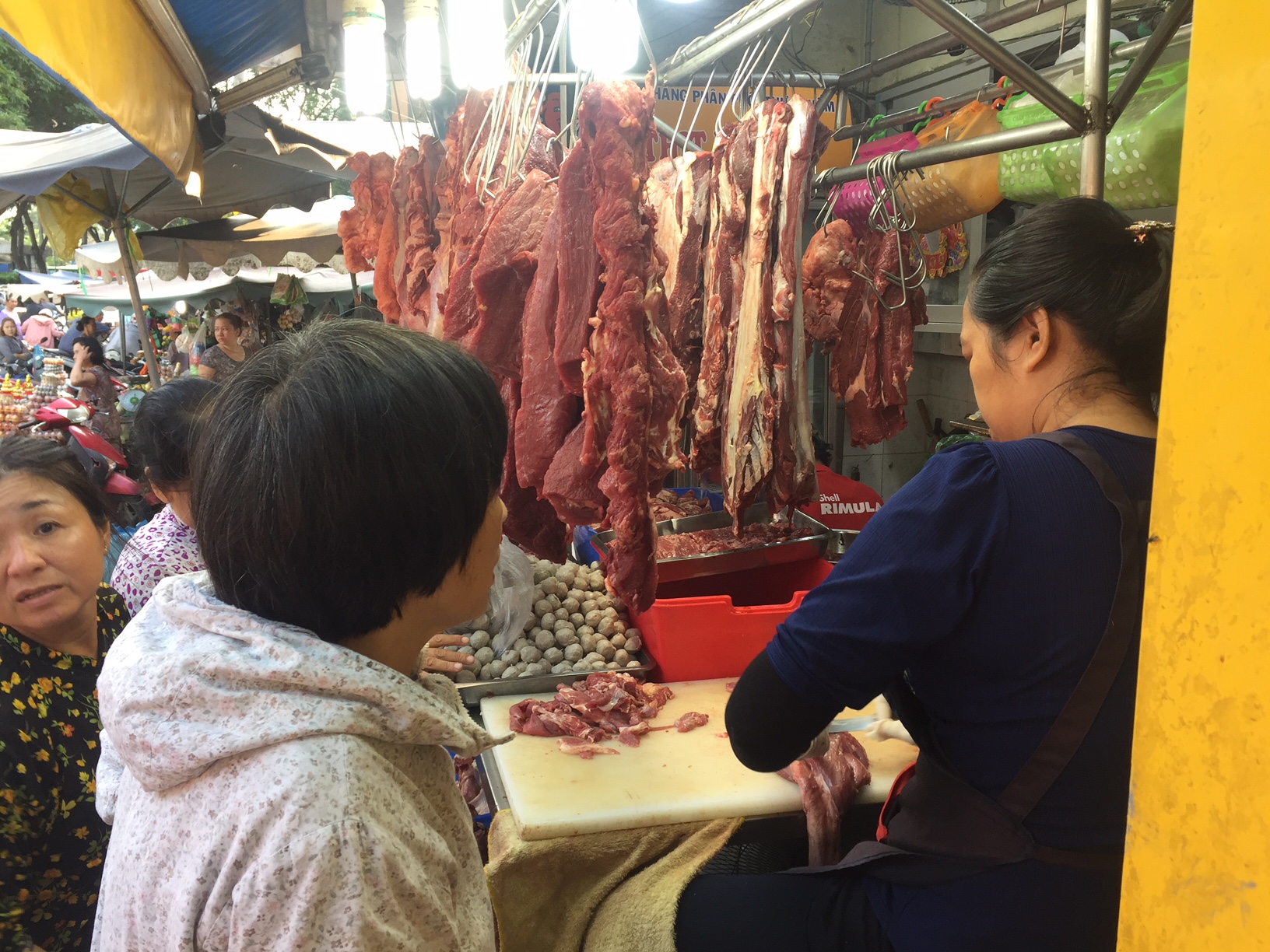 - Ảnh 1. - Ảnh 1.