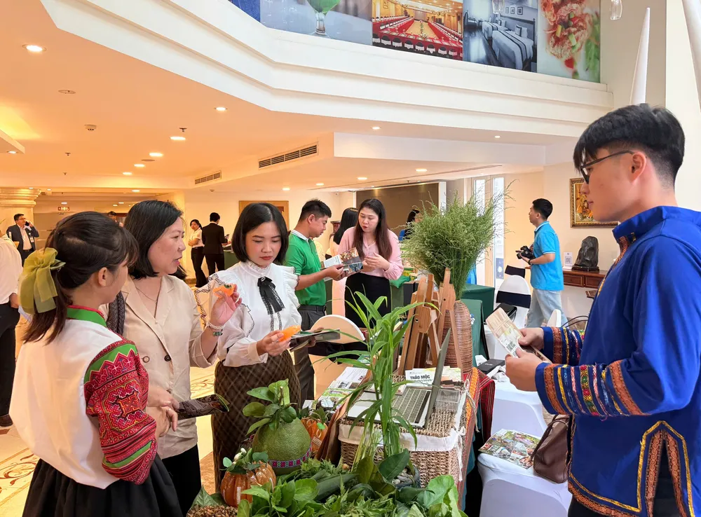 Tại hội nghị, các doanh nghiệp giới thiệu sản phẩm, ký kết hợp tác, xây dựng tour liên tuyến kết hợp khám, chữa bệnh, nghỉ dưỡng. Ảnh: TT. Tại hội nghị, các doanh nghiệp giới thiệu sản phẩm, ký kết hợp tác, xây dựng tour liên tuyến kết hợp khám, chữa bệnh, nghỉ dưỡng. Ảnh: TT.