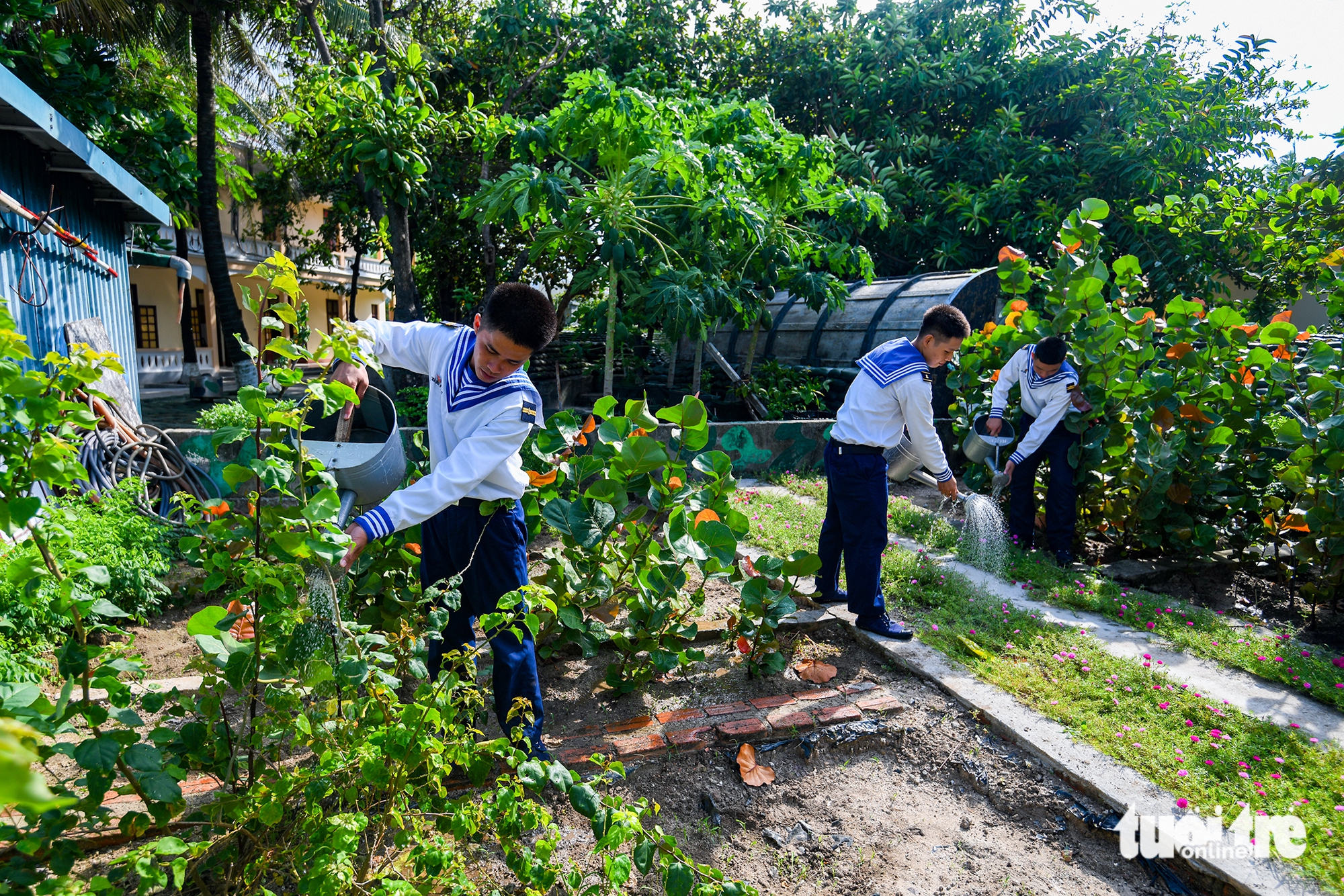 Đến năm 2027 sẽ trồng 1 triệu cây phủ xanh toàn bộ quần đảo Trường Sa - Ảnh 1.