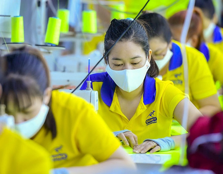 Đi làm không hợp đồng: Tìm hiểu để tự bảo vệ chính mình - Ảnh 1.