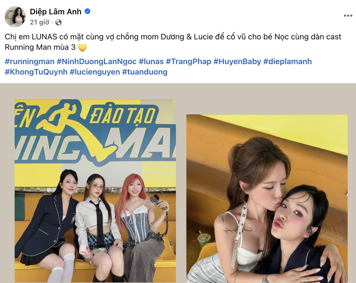 Diệp Lâm Anh đã làm gì Lan Ngọc mà bị chỉ trích đến mức này?- Ảnh 1.