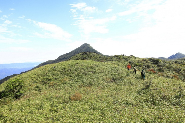 Đỉnh Voi Mẹp và Pa Thiên huyền ảo trong sương 1 Đỉnh Voi Mẹp và Pa Thiên huyền ảo trong sương - 1