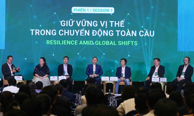 Các chuyên gia thảo luận tại diễn đàn chiều 29/10. Ảnh: VIPF