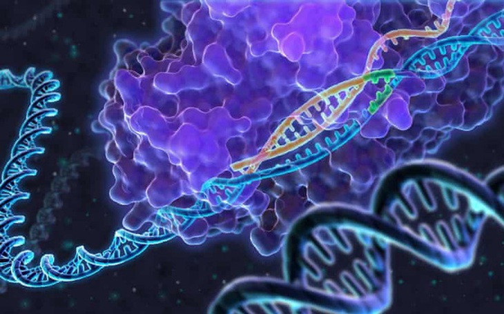 Đột phá giúp chỉnh sửa gene gần như không sai sót, mở đường chữa hàng trăm bệnh di truyền - Ảnh 2.