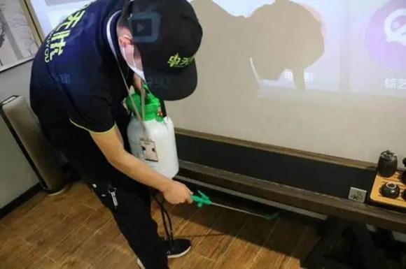 diet-gian (1).jpeg 5 diệt gián