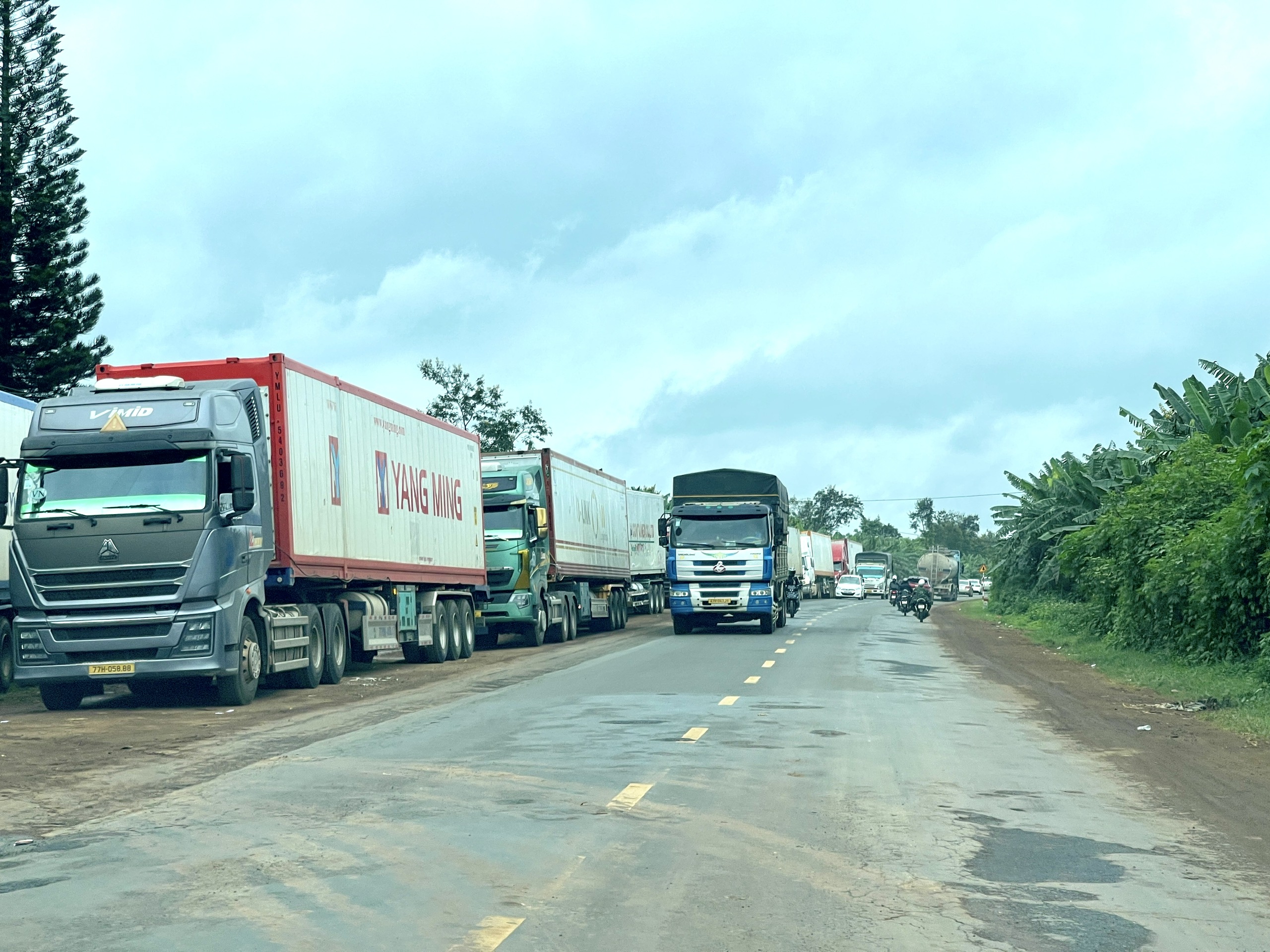 Gần 2.000 container sầu riêng ở Đắk Lắk ‘nằm đường’ chờ kiểm định- Ảnh 1.