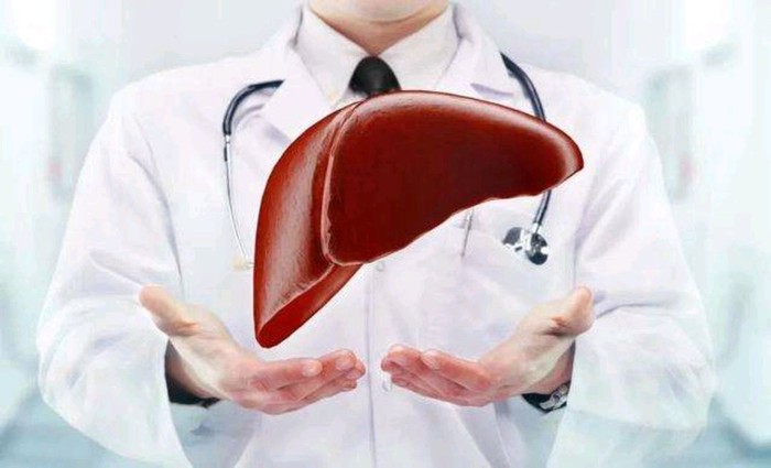 Gan khỏe hay yếu phụ thuộc vào “3 ngọt nên tránh, 2 đắng nên ăn nhiều” 1 Ảnh minh hoạ.