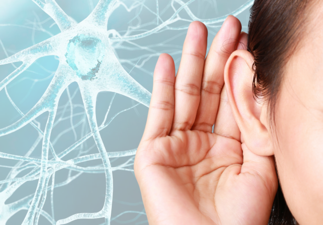 tâm thần - Ảnh 1.