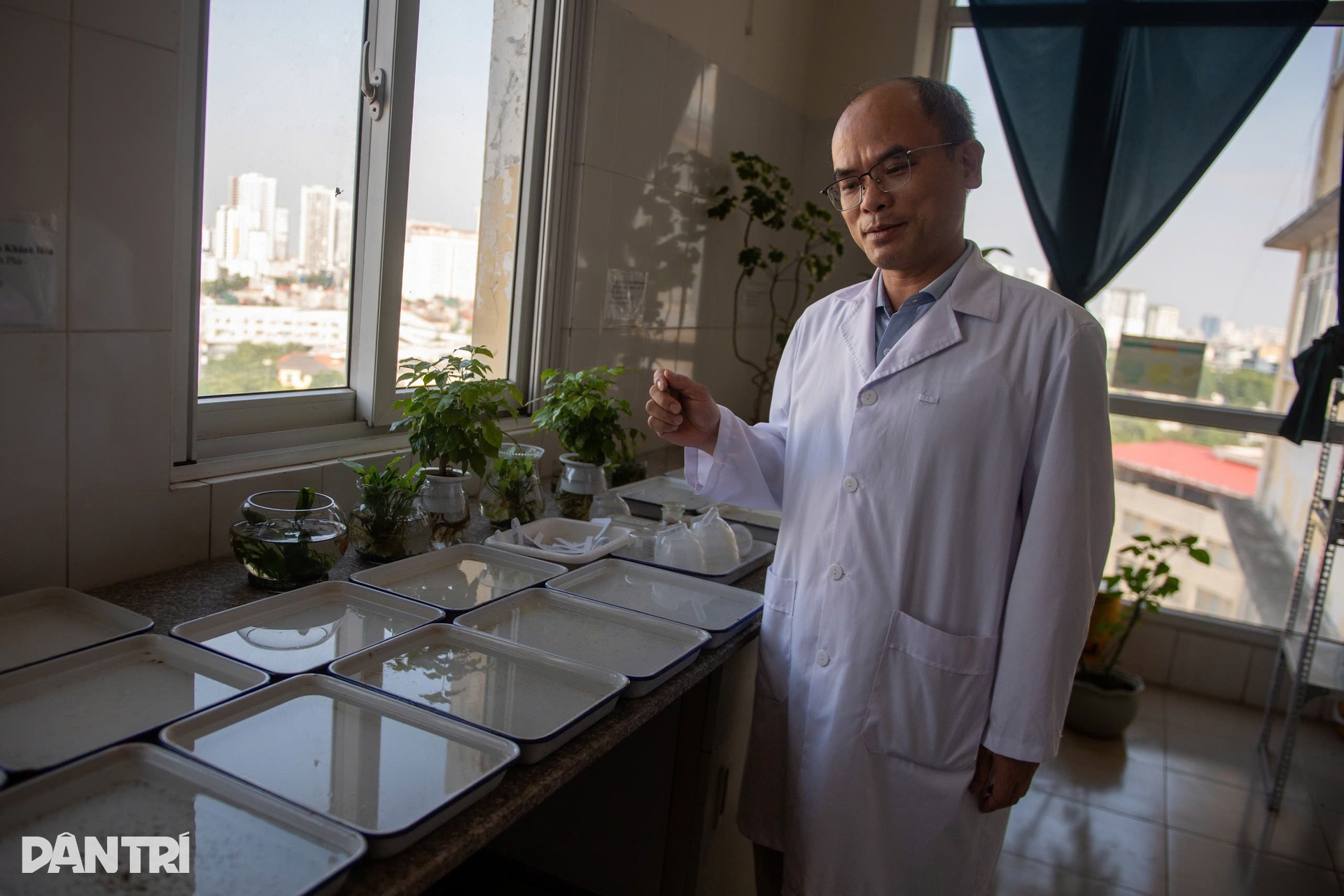 Hà Nội: Vào nơi nuôi hàng nghìn con muỗi tìm vũ khí chặn sốt xuất huyết - 4