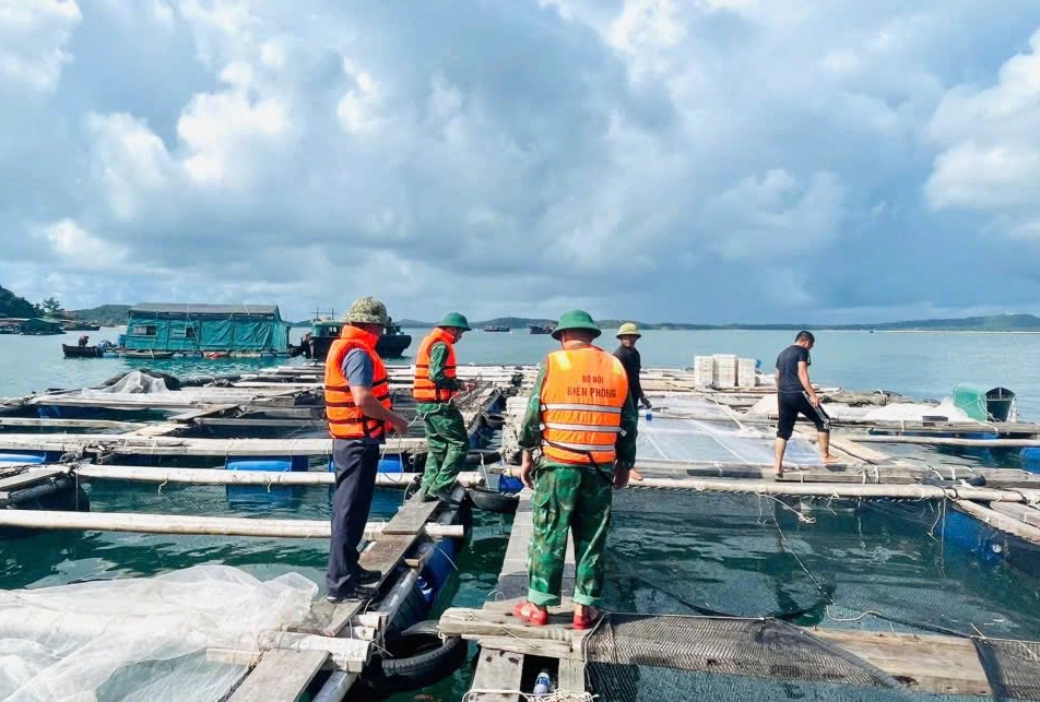 Hải Phòng, Quảng Ninh cấm biển để ứng phó bão số 11  - Ảnh 2.