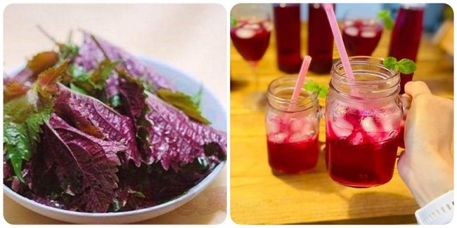 Hết hồn vì rụng tóc, ai ngờ 1 loại lá trong vườn lại là cứu tinh chống rụng tóc, kích thích nhanh mọc tóc con- Ảnh 2. Hết hồn vì rụng tóc, ai ngờ 1 loại lá trong vườn lại là cứu tinh chống rụng tóc, kích thích nhanh mọc tóc con- Ảnh 2.