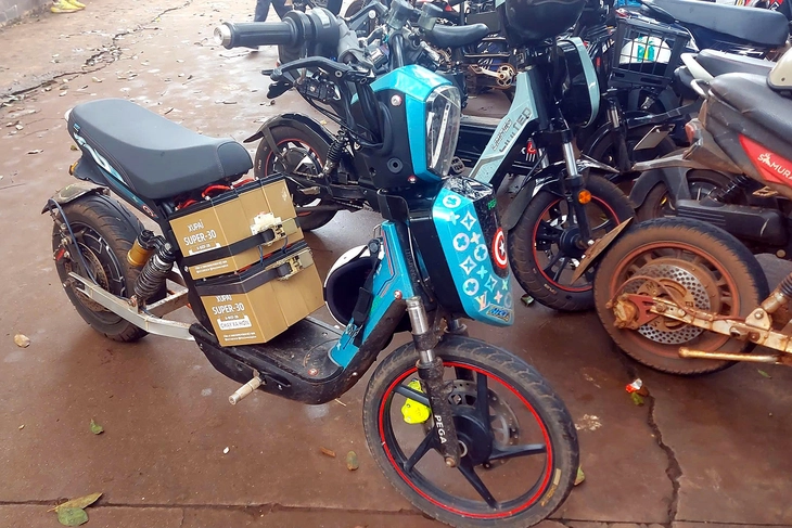 xe đạp điện - Ảnh 1.