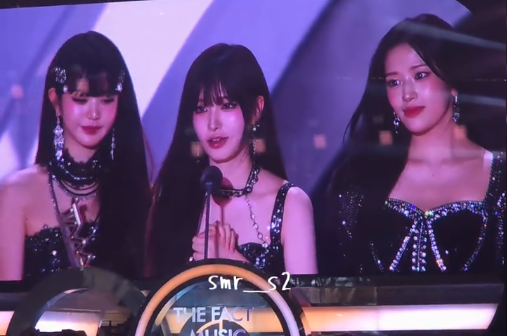 Kẻ thế thân “công chúa Kpop”- Ảnh 2.