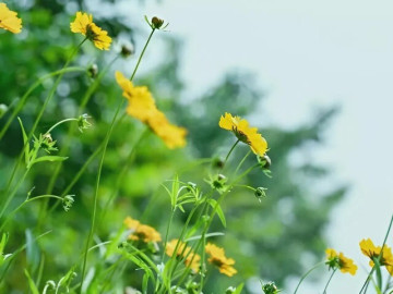 Có 3 nơi càng đến, bạn càng được lợi, hút nhiều may mắn